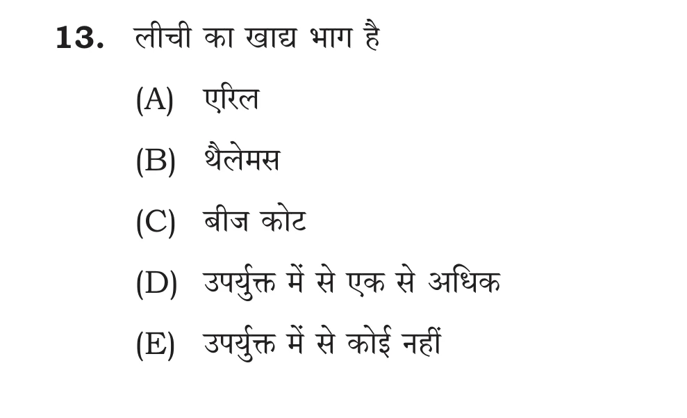 Official Hindi Cutout Q.13