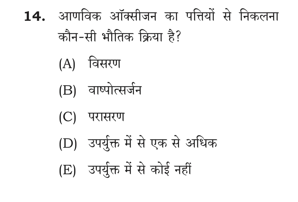 Official Hindi Cutout Q.14